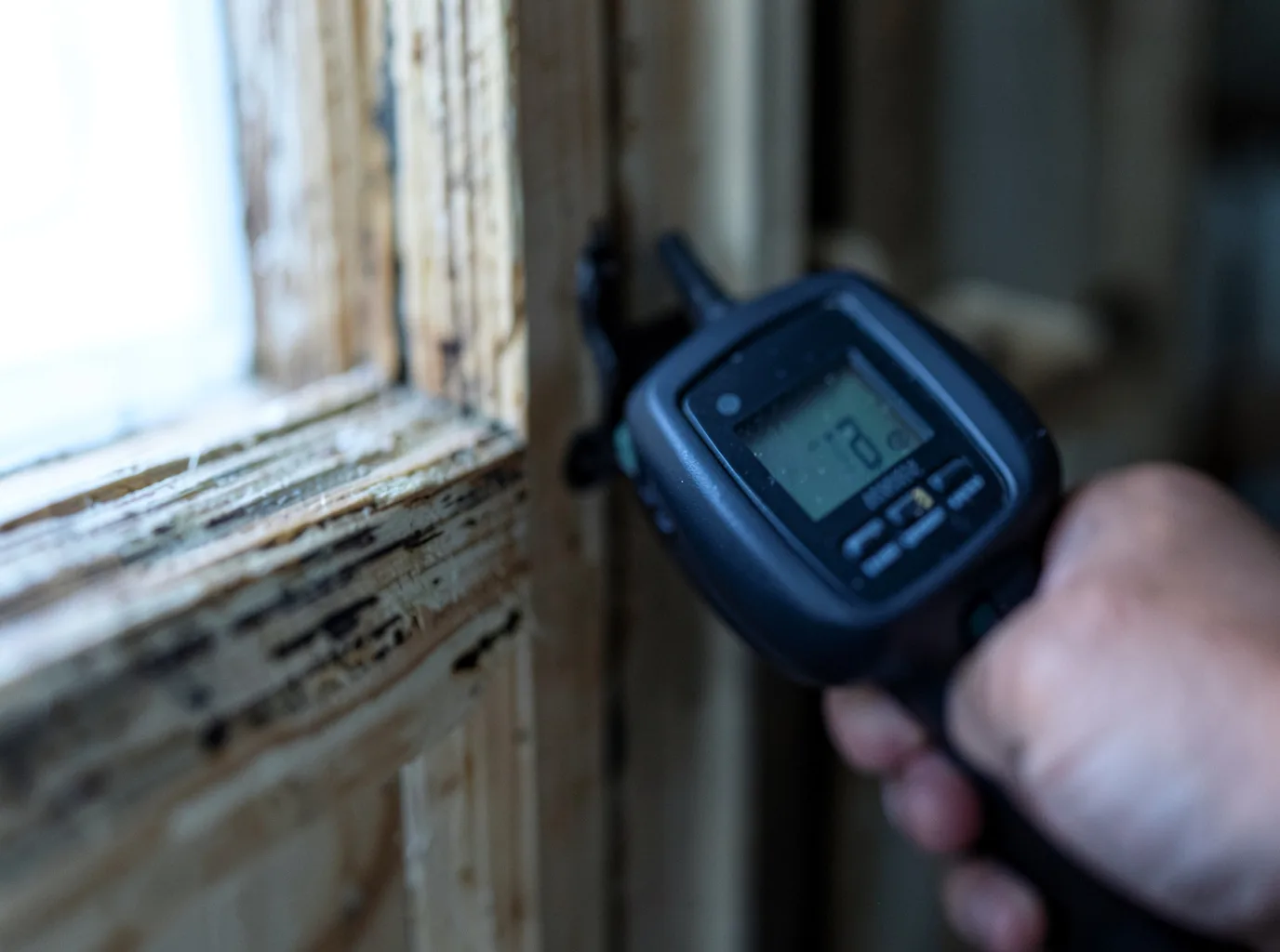 Moisture Inspection And Documentation in Millington, MD